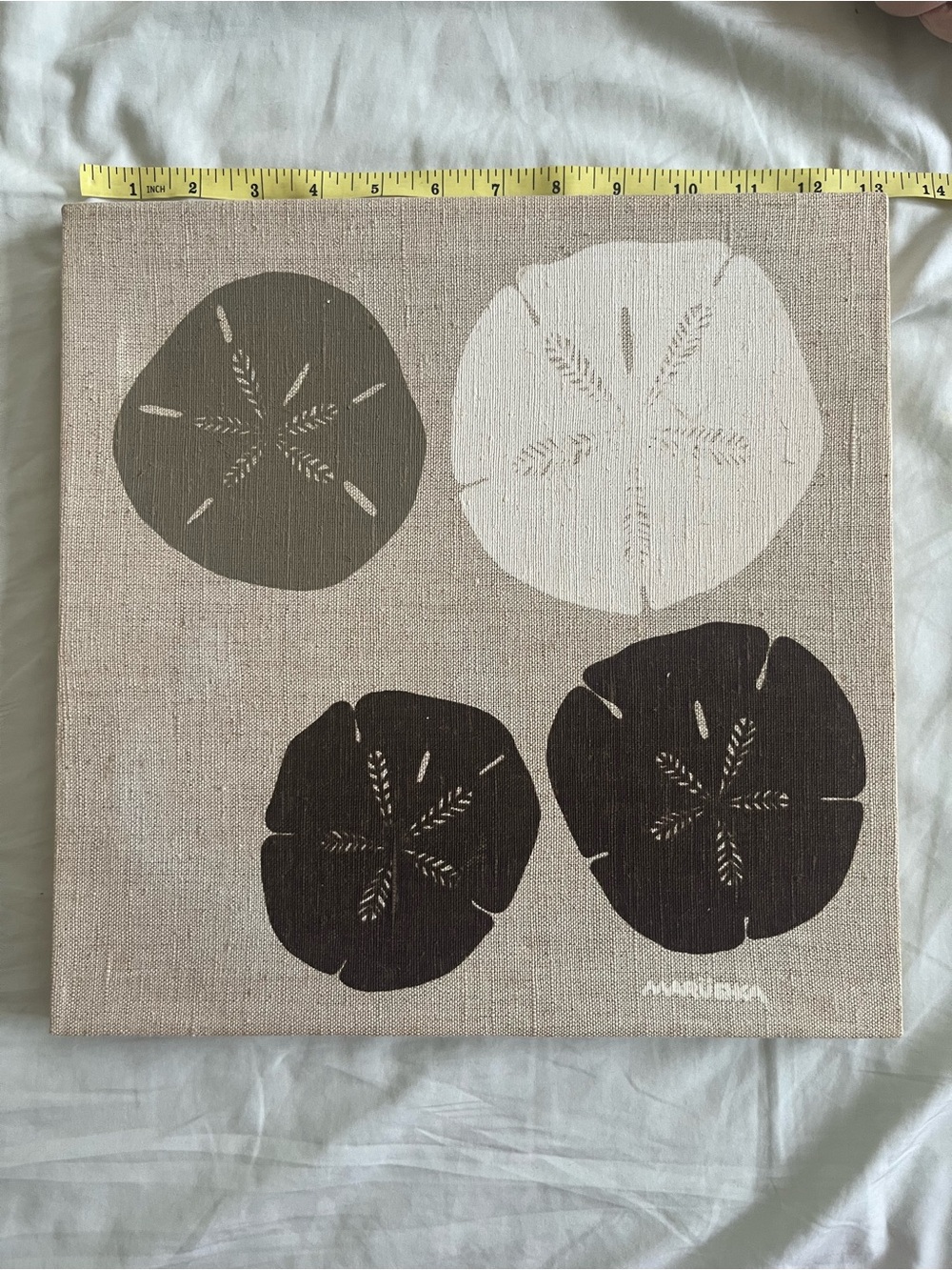 Marüshka Sand Dollar Wall Art Print 13x13